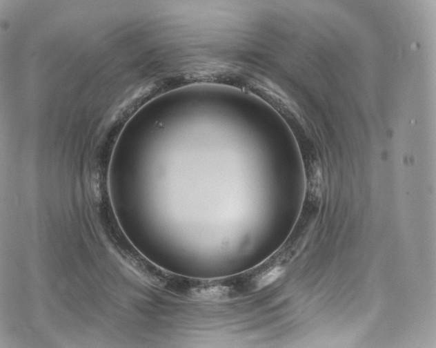 X0000073920452200608111227