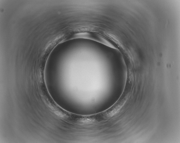 X0000073920453200608111227