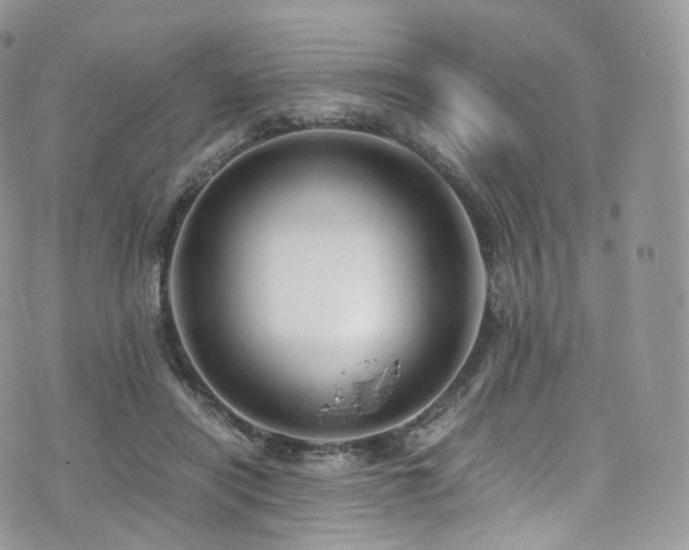 X0000073920454200608111227