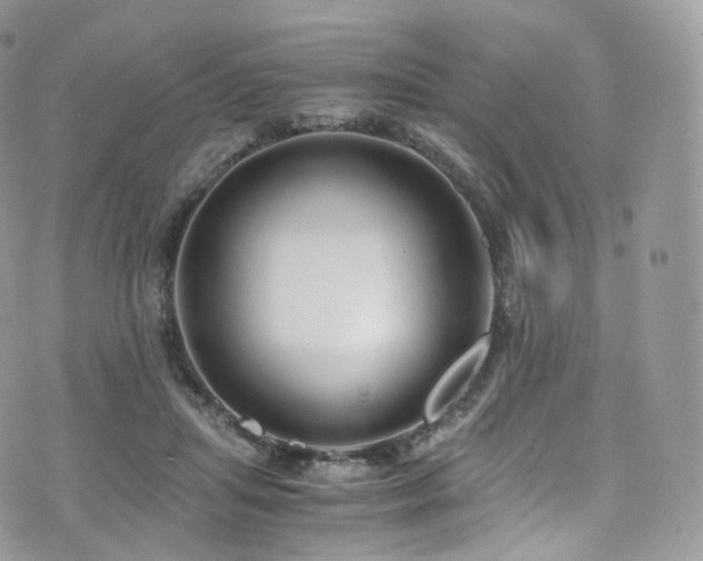 X0000073920455200608111227