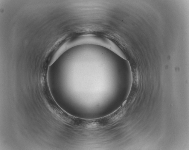 X0000073920456200608111227