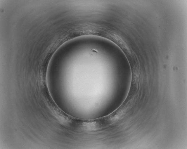 X0000073920457200608111227