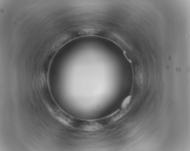 X0000073920459200608111227