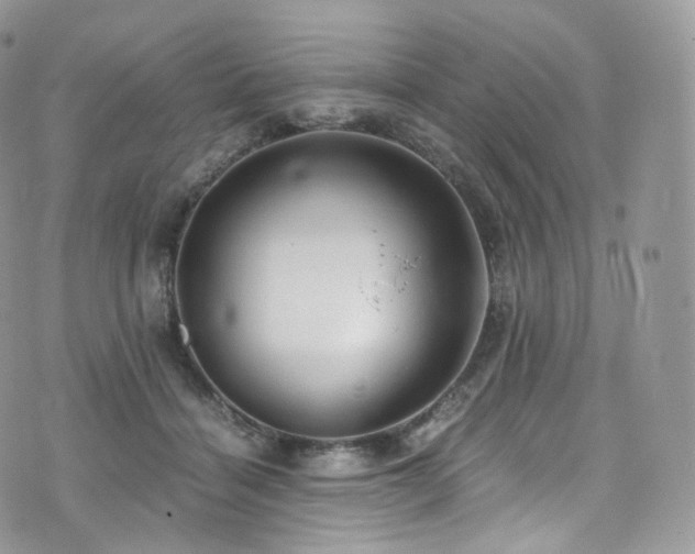 X0000073920460200608111227