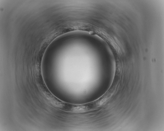 X0000073920461200608111227