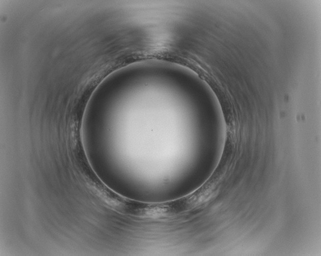 X0000073920462200608111227