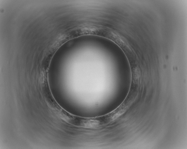 X0000073920463200608111227