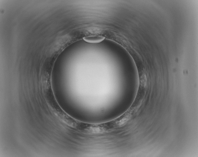 X0000073920464200608111227