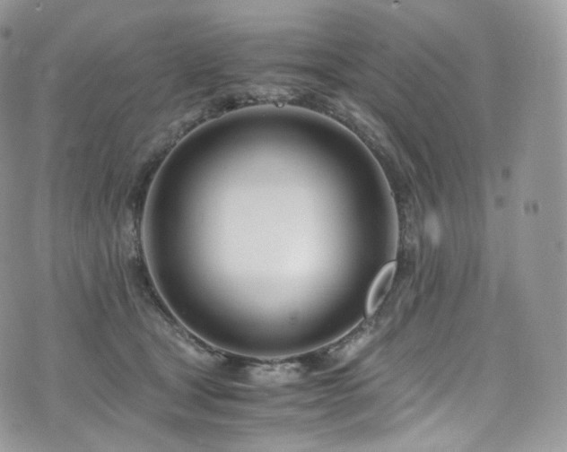 X0000073920465200608111227