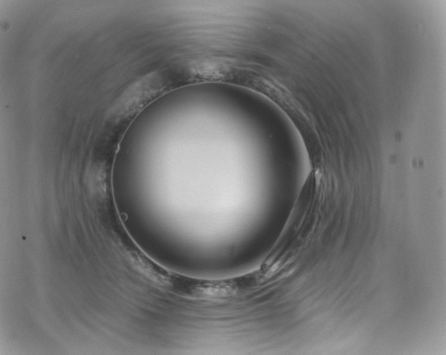 X0000073920466200608111227