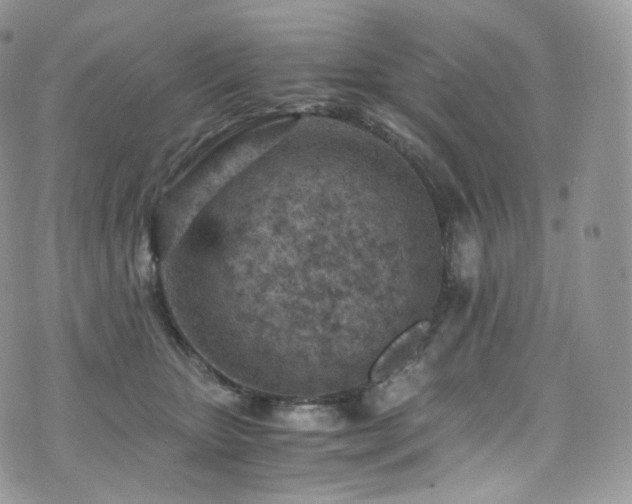 X0000073920467200608111227