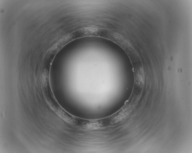 X0000073920468200608111227