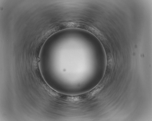 X0000073920469200608111227