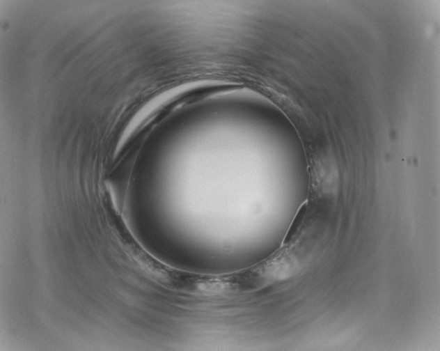 X0000073920470200608111227