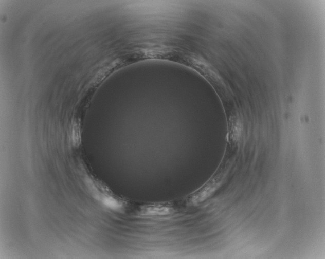 X0000073920471200608111227