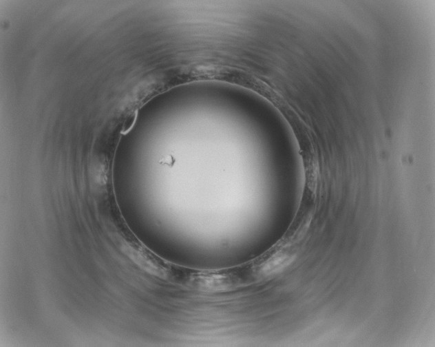 X0000073920472200608111227