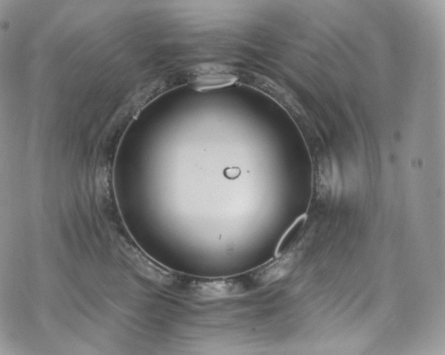 X0000073920473200608111227