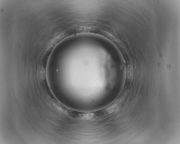 X0000073920474200608111227