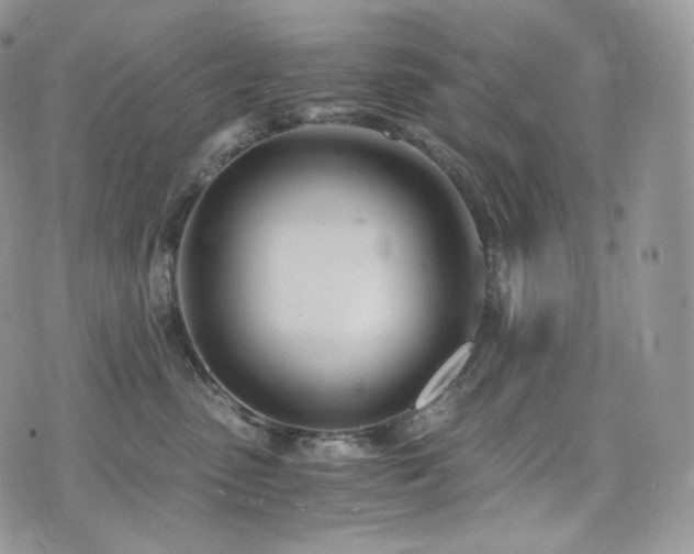 X0000073920475200608111227