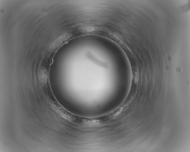 X0000073920476200608111227