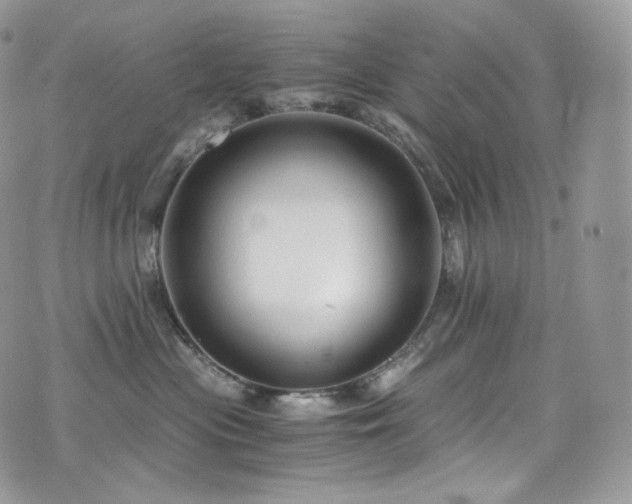 X0000073920477200608111227