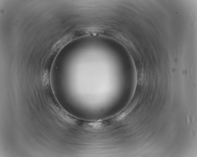 X0000073920478200608111227