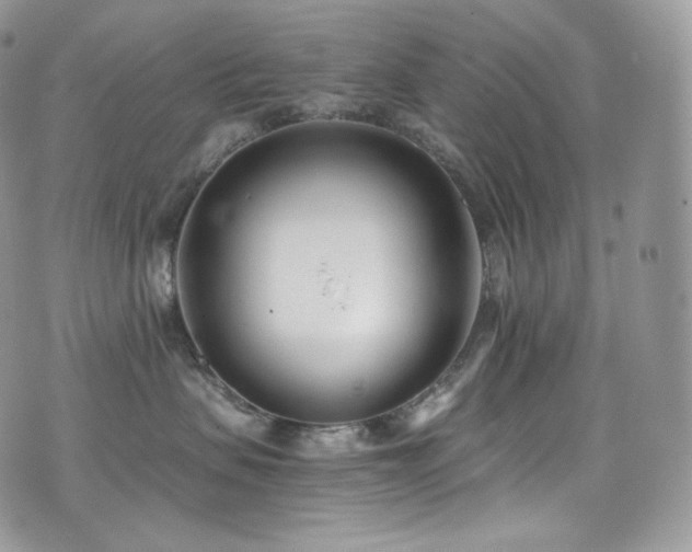 X0000073920479200608111227