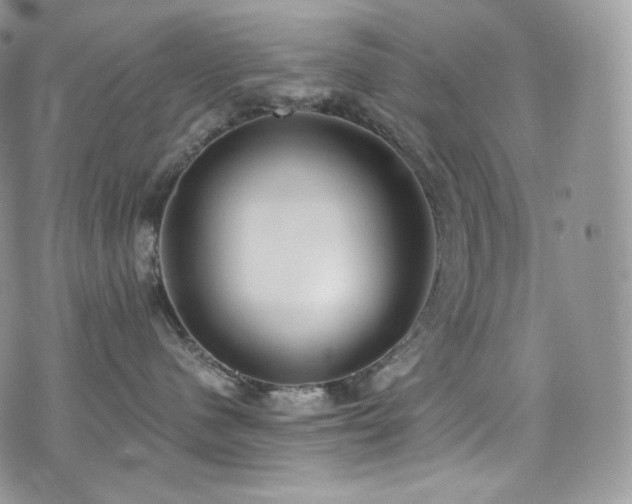 X0000073920480200608111227