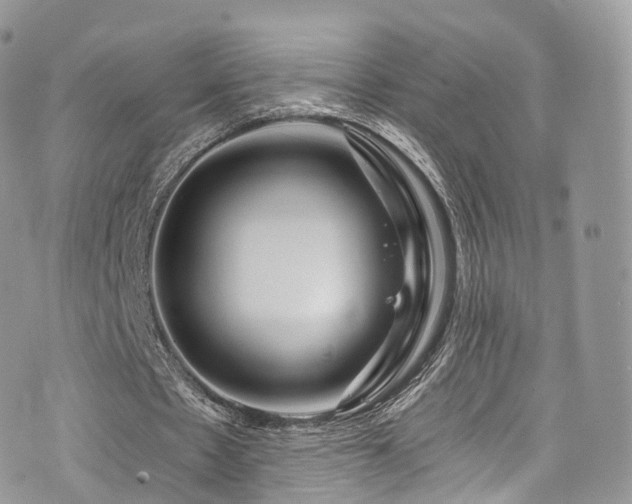 X0000073920481200608111226