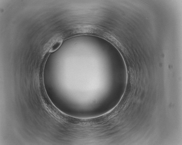 X0000073920482200608111226