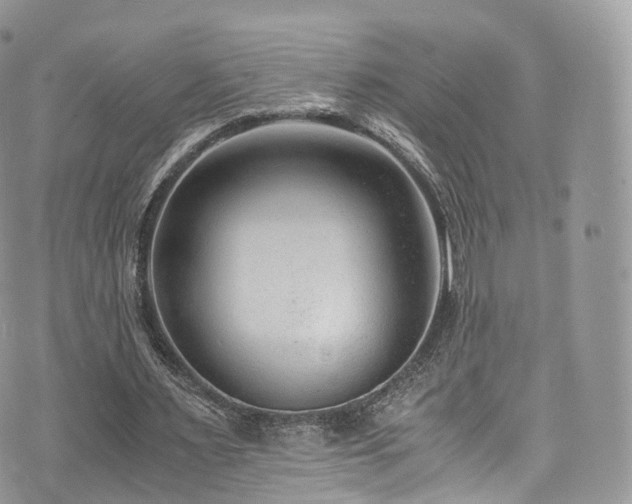 X0000073920483200608111226