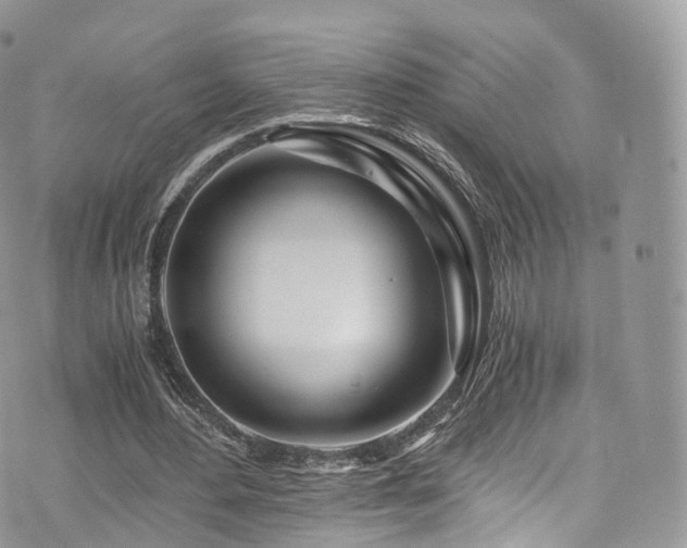 X0000073920484200608111226