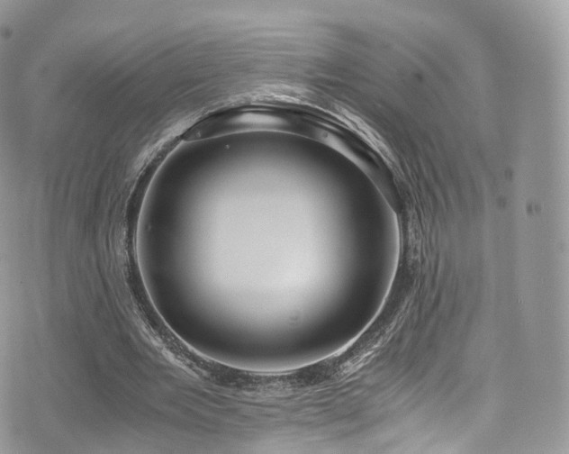 X0000073920485200608111226