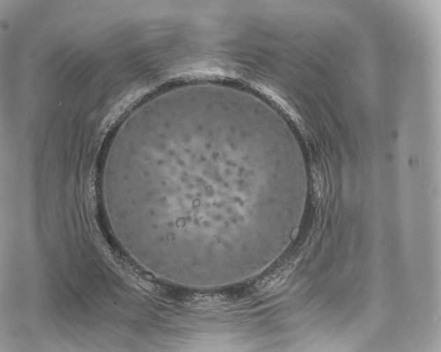 X0000073920487200608111226