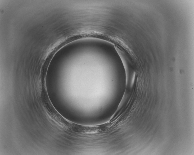 X0000073920488200608111226