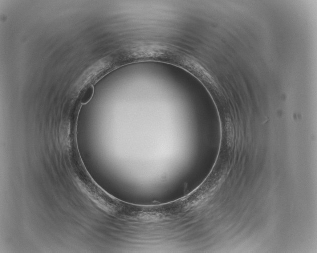 X0000073920490200608111226