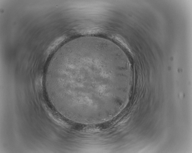 X0000073920491200608111226