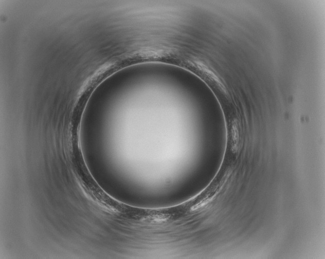 X0000073920492200608111226