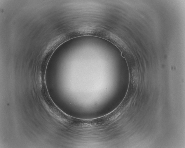 X0000073920494200608111226