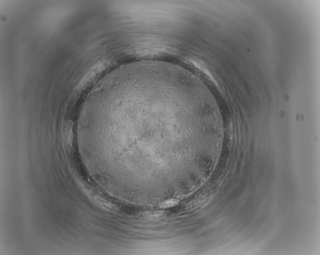 X0000073920495200608111226