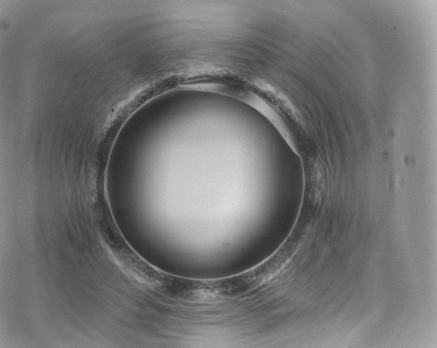 X0000073920496200608111226