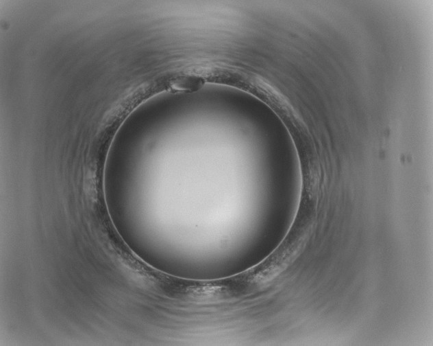 X0000073920497200608111226