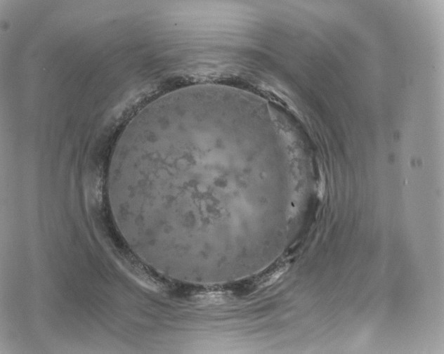 X0000073920499200608111226