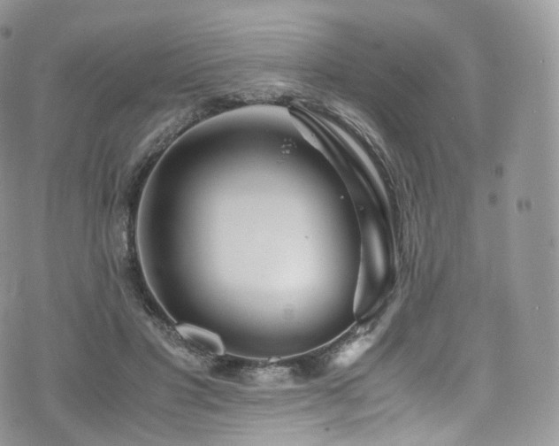 X0000073920501200608111226