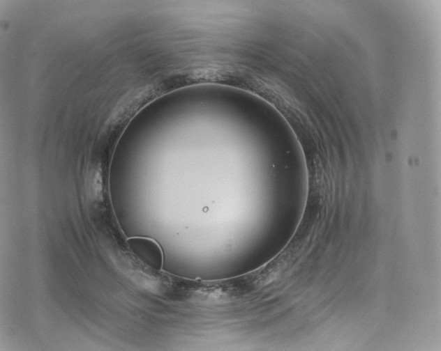 X0000073920502200608111226