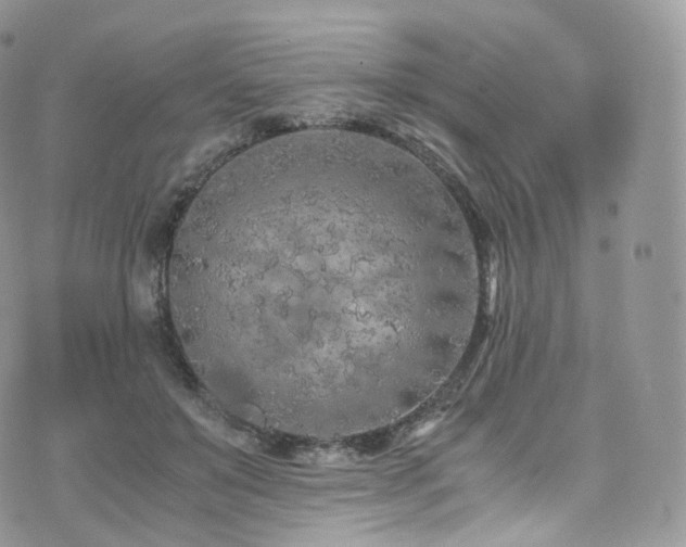 X0000073920503200608111226