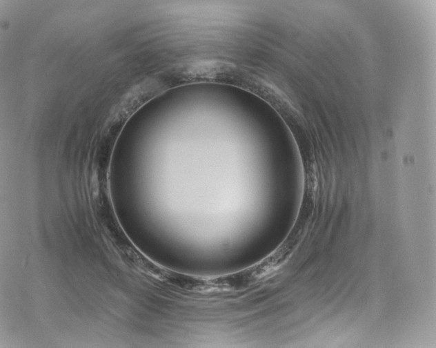 X0000073920504200608111226