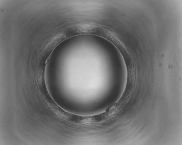 X0000073920505200608111226