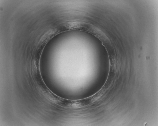 X0000073920506200608111226