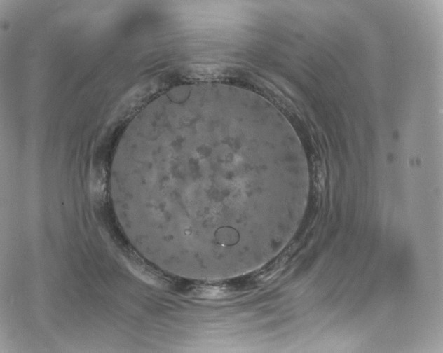 X0000073920507200608111226